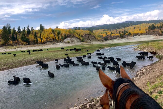 Private Horseback Riding in Wyoming - Booking Details