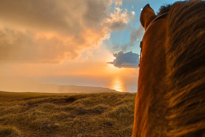 Private Horseback Riding on Easter Island at Sunset - Experience Details