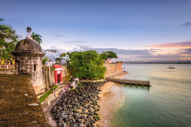 Private Lifestyle, Art and Culture Tour in Puerto Rico - Tour Highlights