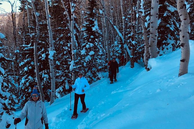 Private Park City Guided Snowshoe Tour - Tour Highlights