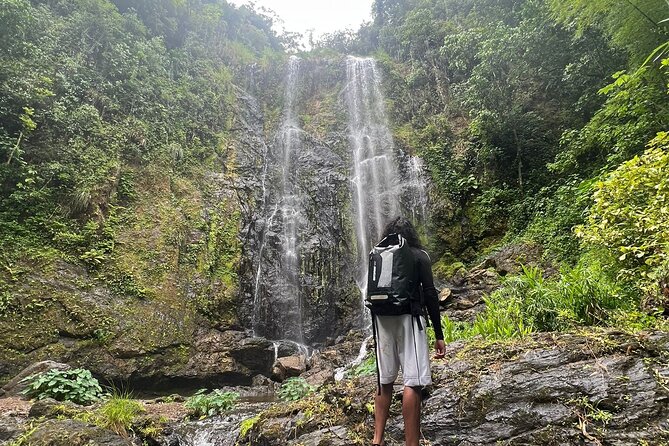 Private Rainforest Hike to Hidden Waterfall Tour With Transport - Traveler Photos