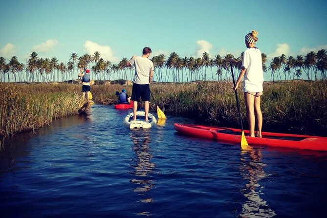 Private Stand Up Paddle and Kayak Tour on the Imbassaí River - Good To Know