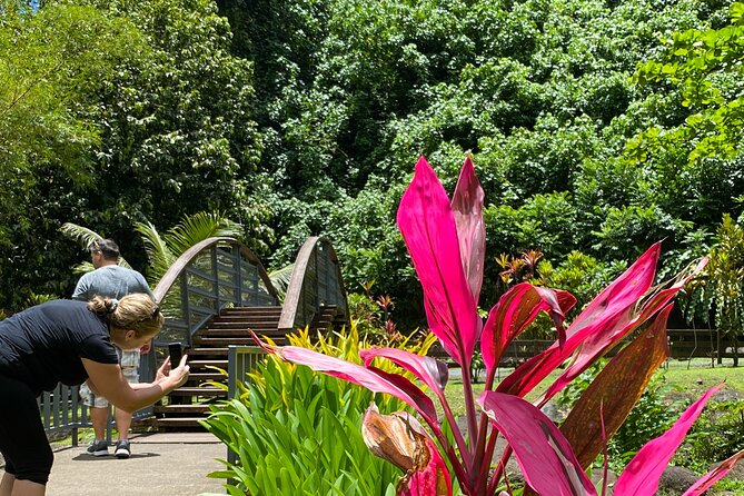 Private TAHITI Half Day Circle Island Tour (Departs 8am or 1pm) - Meeting and Pickup Details
