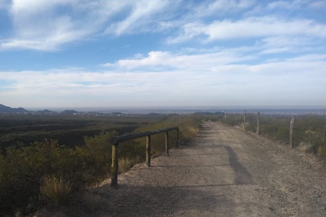 Private Tour From Mendoza to the Divisadero Largo - Good To Know