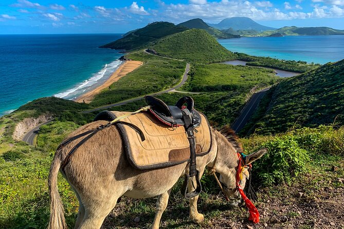 Private Tour Horseback Riding and Beach in St Lucia - Tour Highlights