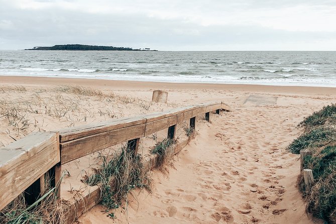 Private Tour Reveals Secrets of Punta Del Este - Tour Overview Highlights