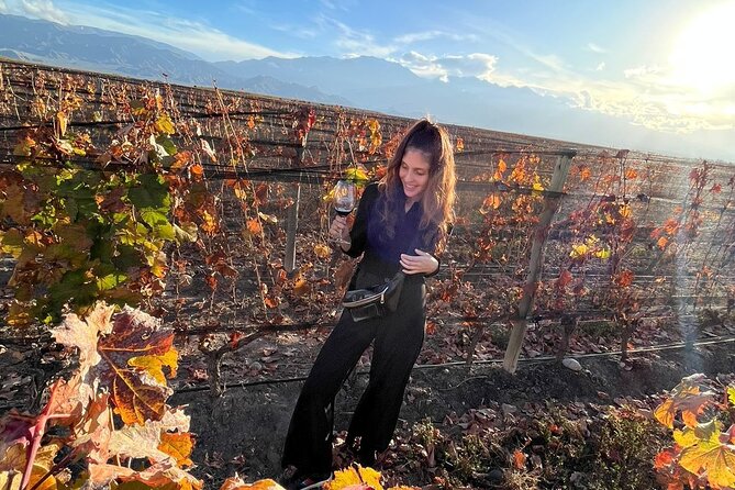 Private Tour: Wineries for the Day in Mendoza - Tour Itinerary in Mendoza