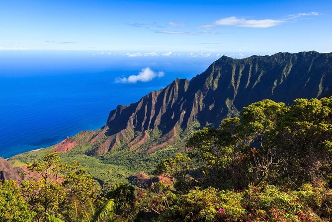 Private Transfer From Kauai Cruise Port to Lihue Airport (Lih) - Good To Know