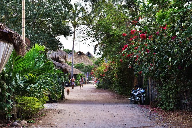 Private Transportation Service From Cartagena to Palomino - Good To Know