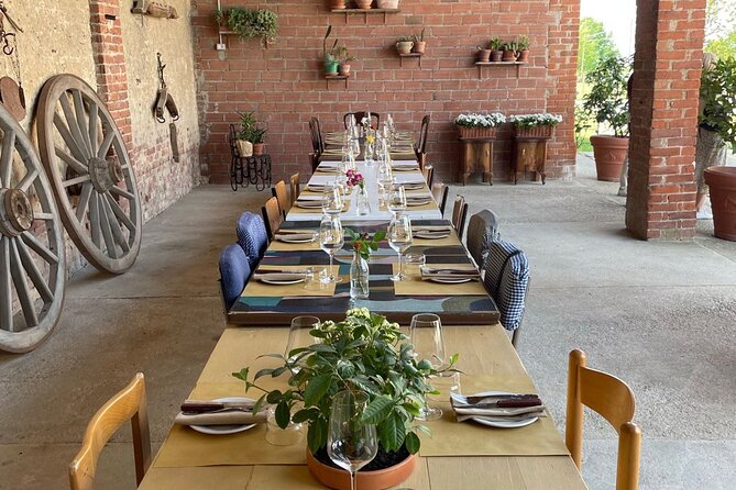 Private Vineyards Tour & Wine Tasting in Collio and Udine - Itinerary Highlights