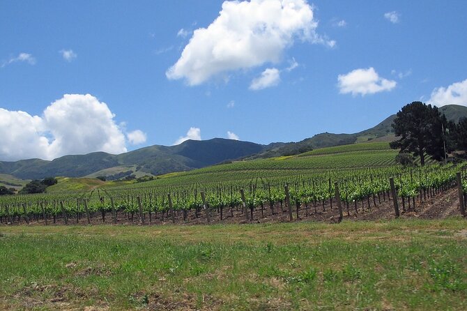 Private Wine Country Tour in Uncork Santa Barbara - Tour Highlights