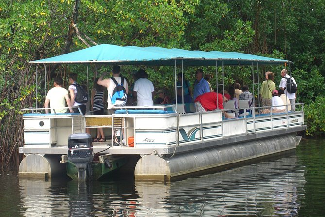 Private YS Falls and Black River Safari From Negril - Tour Details