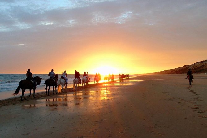 Puerto Plata: Sunset Beach Horseback Riding - Activity Details