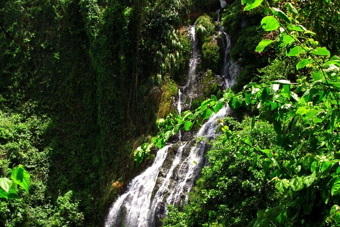 Puerto Rico: Small-Group Hiking Tour - Directions