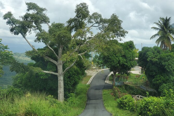 Puerto Rico Tour to El Yunque Rainforest Hiking to Waterfall - Tour Details and Logistics