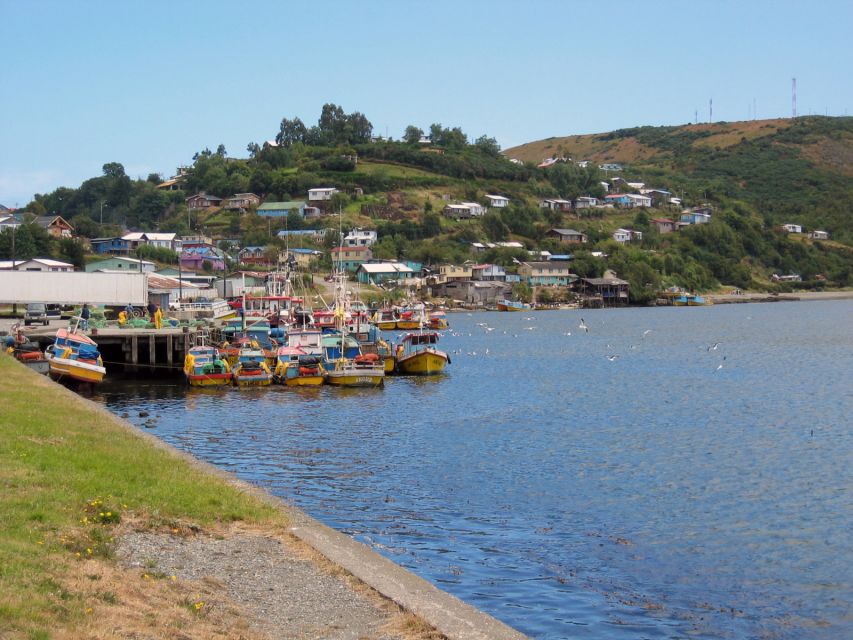Puerto Varas: Fullday Chiloe Island Tour Castro and Dalcahue - Tour Details