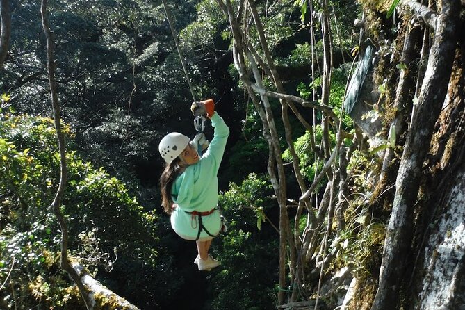 Rainforest Adventure: Sloth, Hike, Chocolate Tour - Eco-Tourism Project Overview