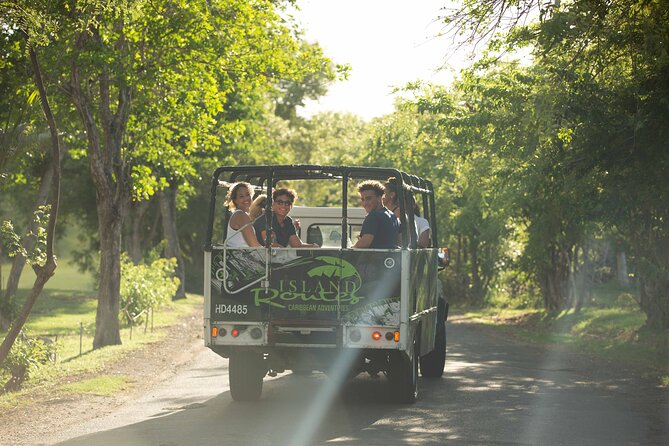 Rainforest Hike & Waterfall Safari St. Lucia From Castries - Local Culture Immersion