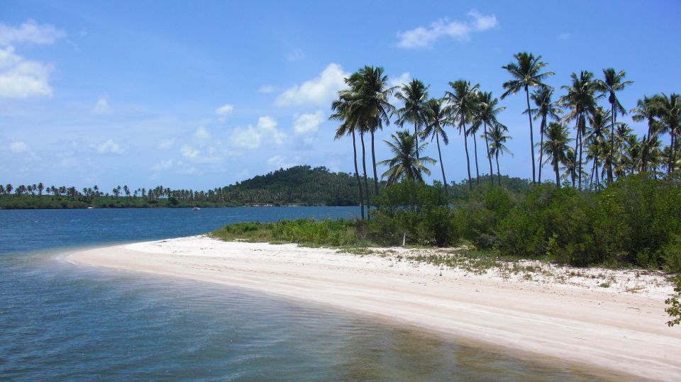 Recife: Tour to Carneiros With Catamaran Ride - Tour Overview