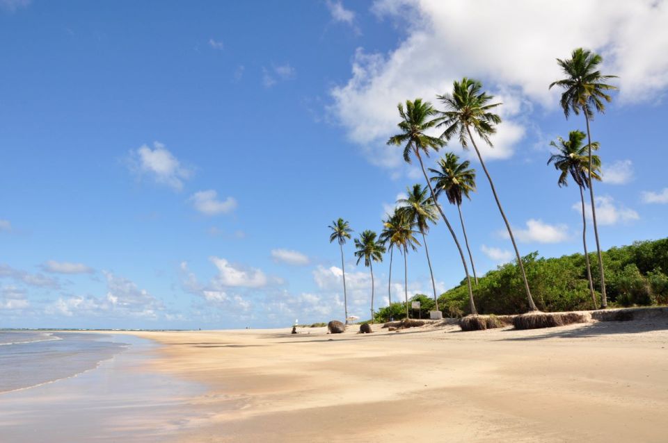 Recife: Tour to Porto De Galinhas - Booking Details