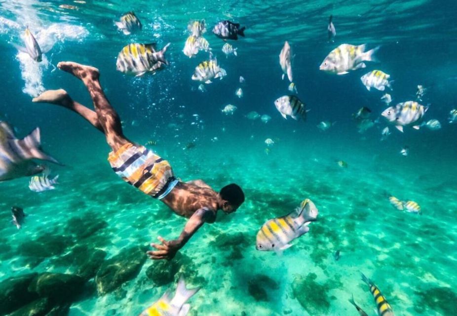 Rio De Janeiro: Boat Tour in Ilha Grande. - Tour Experience