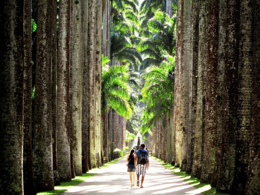 Rio De Janeiro: Botanical Garden Guided Tour & Parque Lage - Review Summary