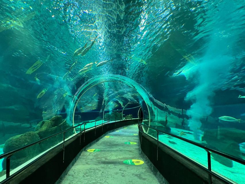 Rio De Janeiro: Marine Aquarium Entry Tickets - Booking Information