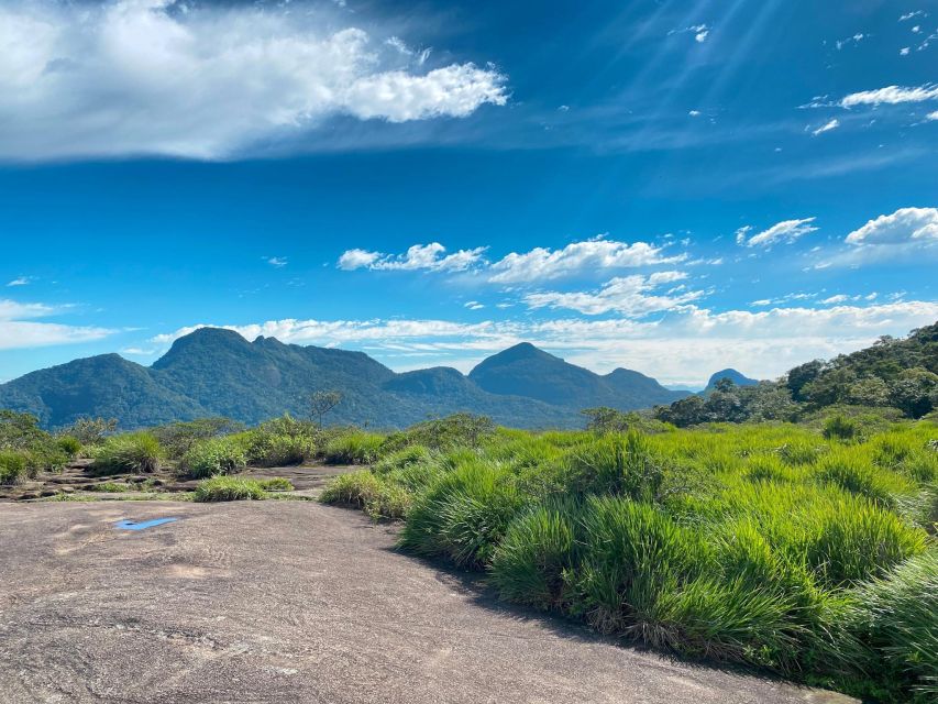 Rio De Janeiro: Pedra Bonita Trail and Taunay Waterfall - Tour Overview