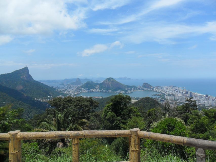 Rio De Janeiro: Tijuca's Peak Hiking Tour - Activity Details