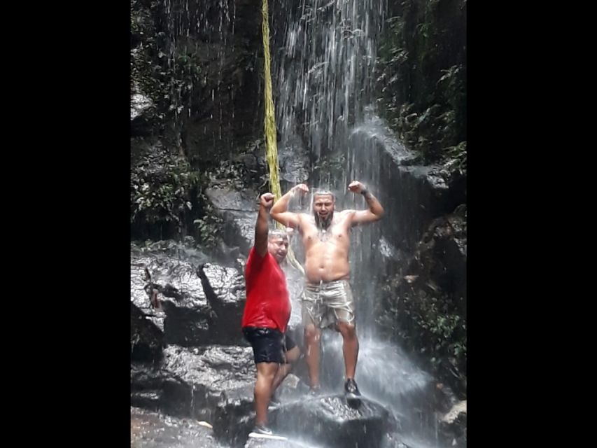 Rio: Tijuca National Park Private Guided Hike With Transfer - Activity Details