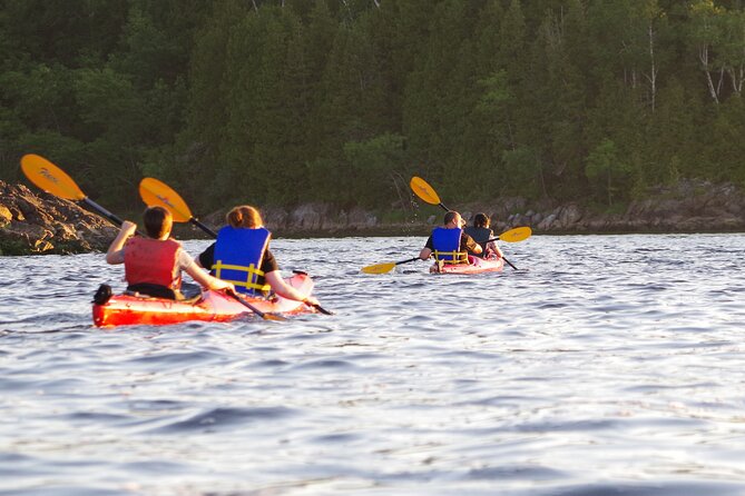 River Relics Kayaking Adventure - Reviews and Recommendations