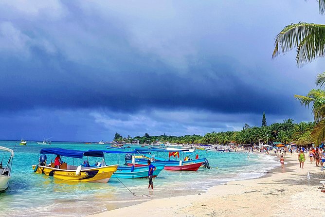 Roatan City Tour and Beach Break at West Bay - Good To Know