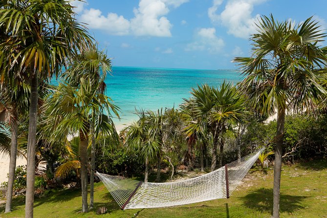 Rose Island: Sandy Toes Original Swimming Pigs and Snorkeling - Animal Interactions and Island Features