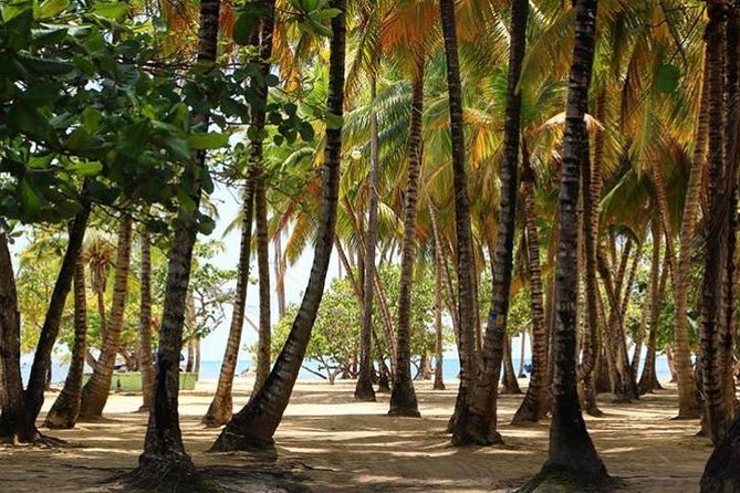 Round Trip-Santiago International Airport to Puerto Plata -1-6 Passengers - Transfer Details