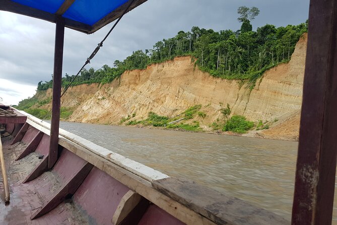 Rurrenabaque Bolivia Amazon 5 Day Tour -Native Community Project- - Itinerary Highlights