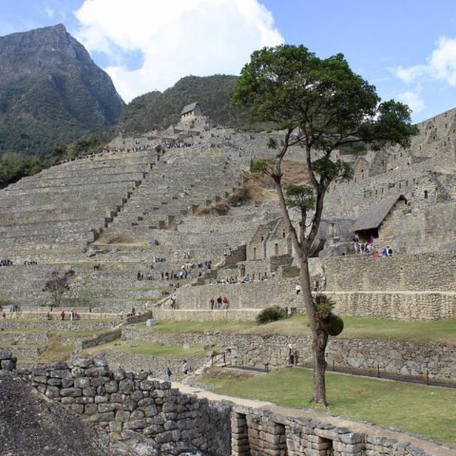Salkantay: All-Inclusive 5-Day Machu Picchu Trek - Trek Highlights
