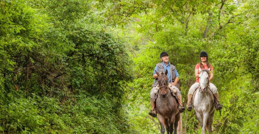 Salta: Horseback Riding in the Mountains