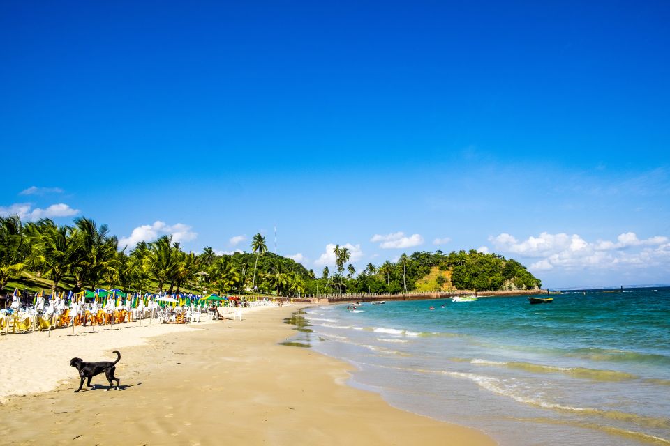 Salvador: Dos Frades & Itaparica Islands Full-Day Boat Tour - Experience Highlights