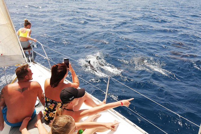 Santa Maria, Cape Verde Sailing: An Unforgettable Experience  - Sal - Explore the Archipelago From the Water