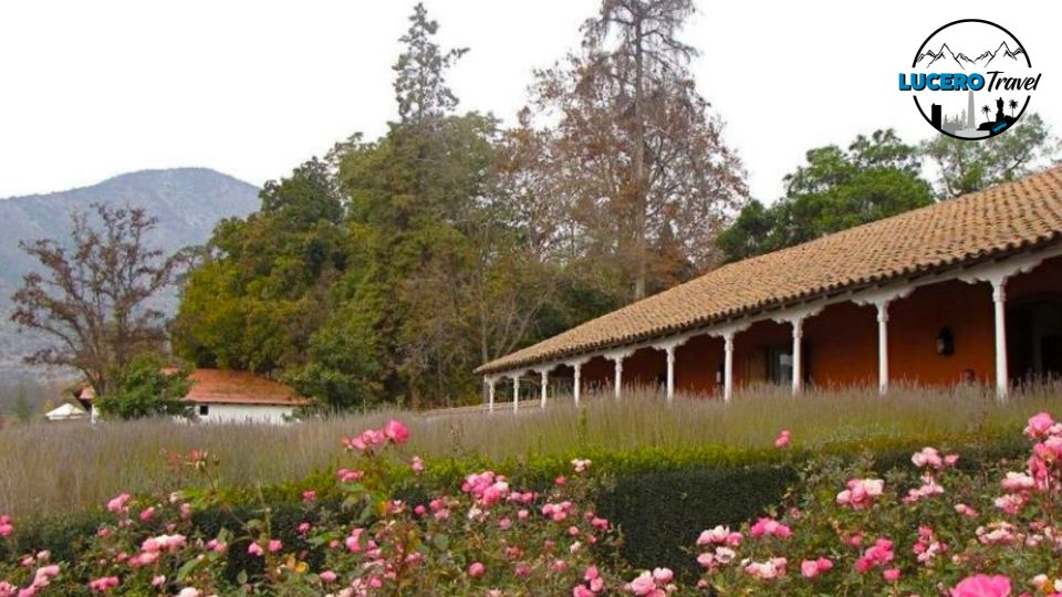 Santa Rita Vineyard - Vineyard Overview