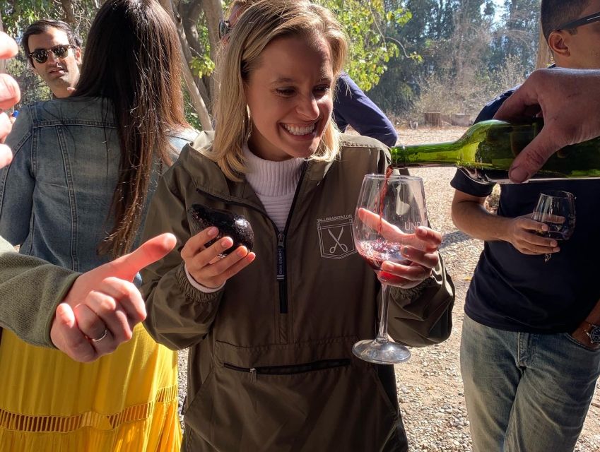 Santiago: Maipo Valley Wine Tasting Tour With 3 Vineyards - Vineyard Experiences and Tastings