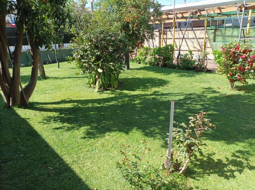 Santiago: Premium Barbecue at Family Home - Experience Highlights