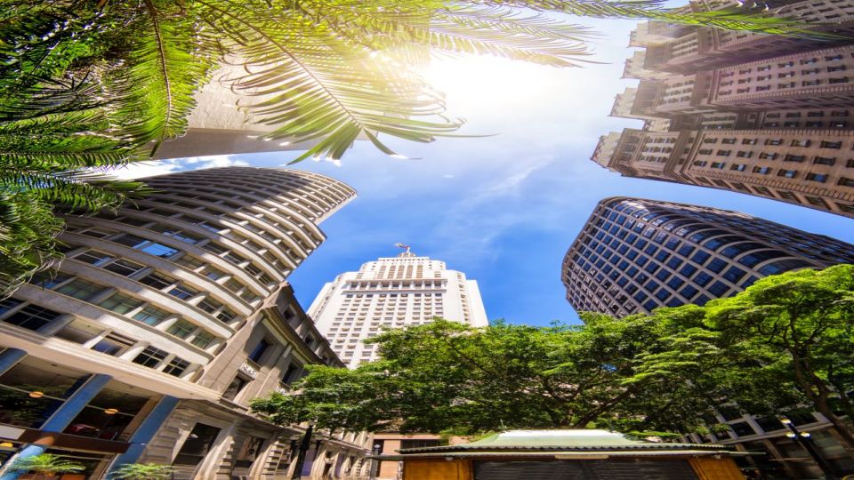 Santos: Private 8-hour São Paulo Overview - Tour Booking Details