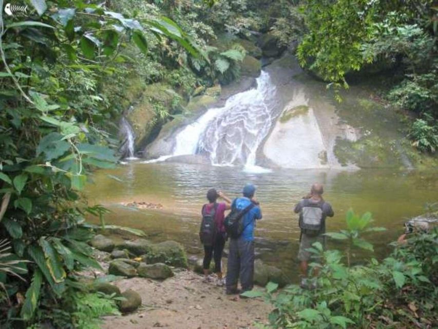 Santos Shore Excursion: Rain Forest and Indian Reserve - Experience Highlights