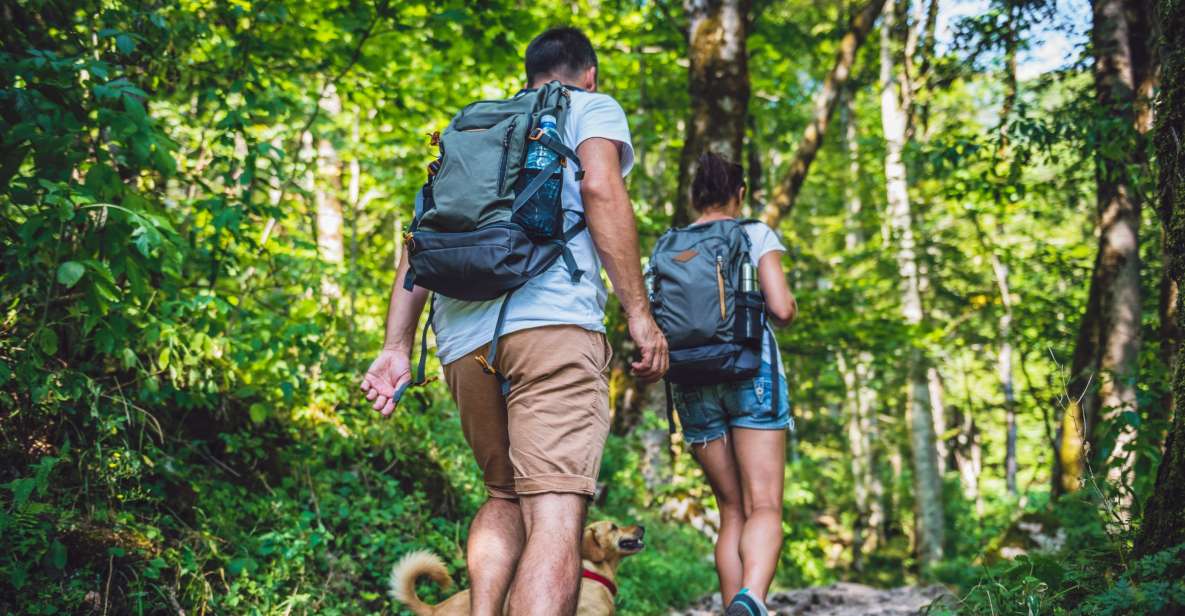 São Paulo: Atlantic Forest Hike in Jaraguá Park With Picnic - Booking Details