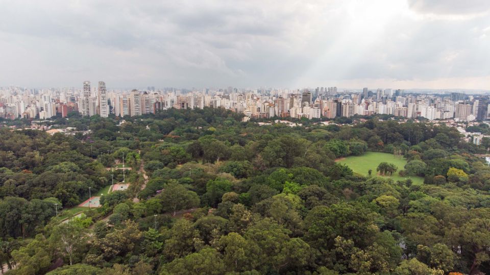 Sao Paulo City Tour - Experience Description