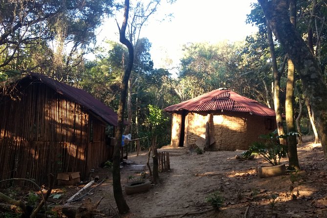 Sao Paulo Private Cultural Tour to Guarani Indigenous Reserve