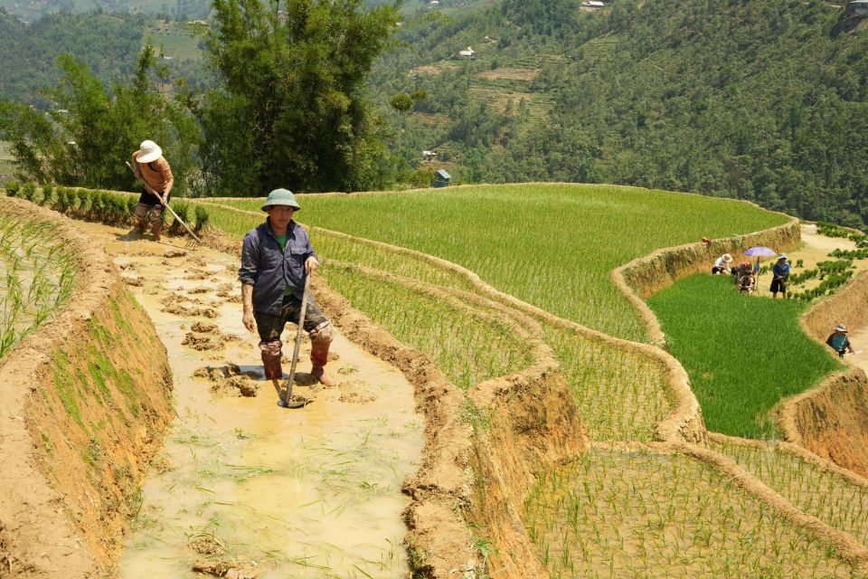 Sapa Hard Trekking Villages and Homestay 2 Days 1 Night Trip - Trip Duration and Itinerary