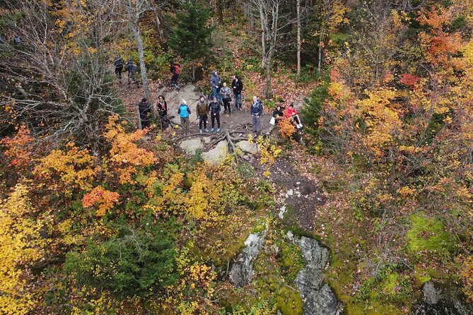 Scenic Hiking Adventure at Mont-Orford National Park - Hiking Trails and Difficulty Levels
