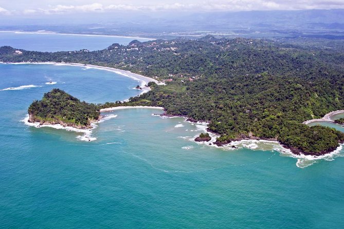 Scenic Pacific Coast Tour With Wildlife Spotting - Tour Location and Duration